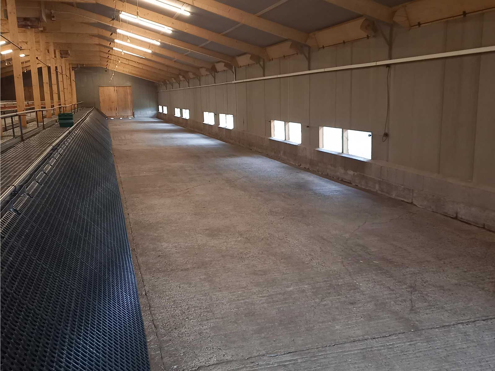 Fogging and Repairs IPS Poultry